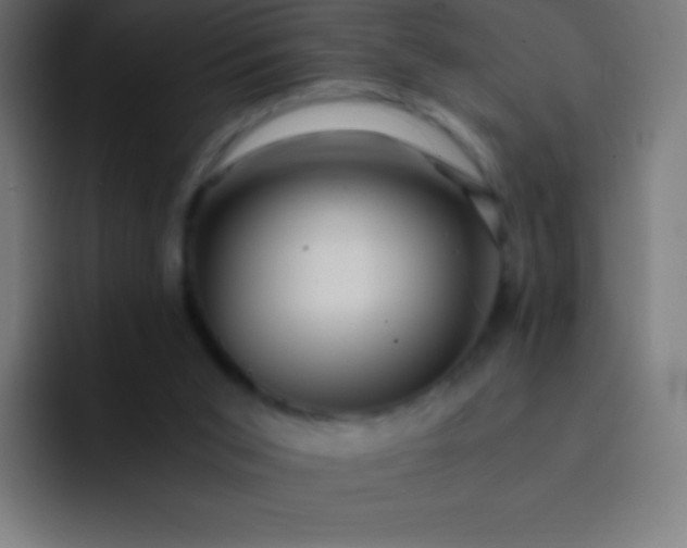 X0000093240015200710101430
