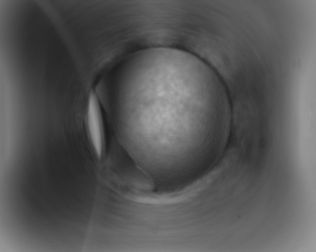 X0000093240017200710101430