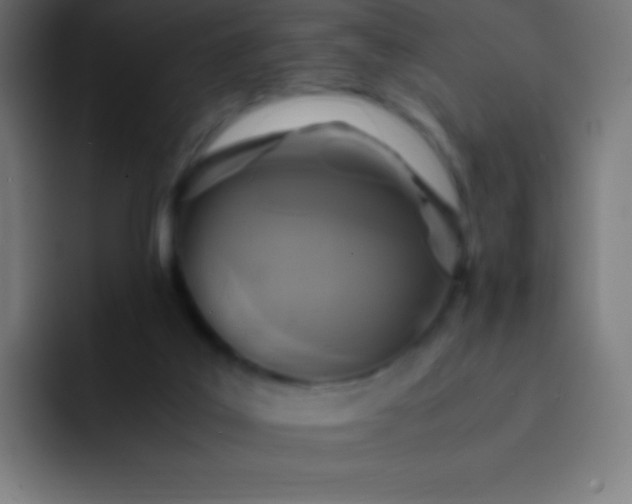 X0000093240019200710101430