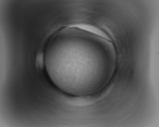 X0000093240020200710101430