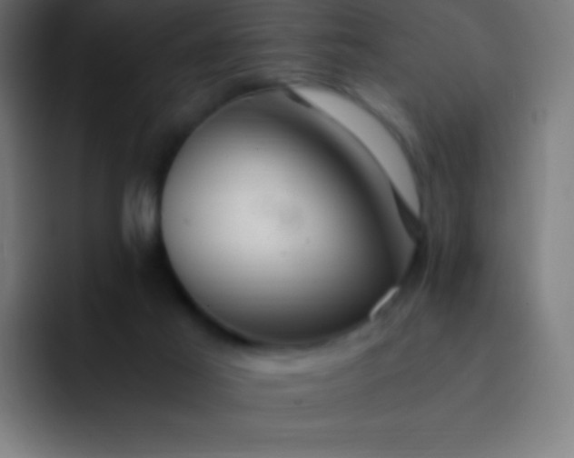 X0000093240021200710101430