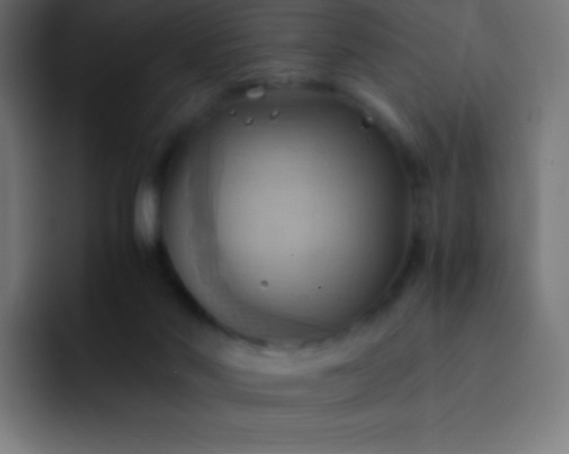 X0000093240022200710101430