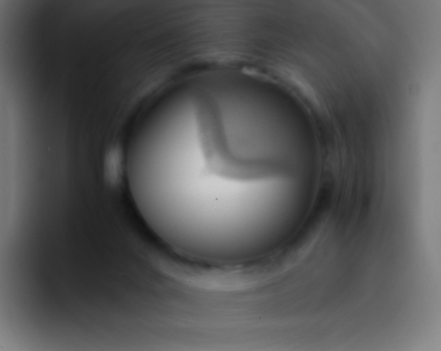 X0000093240024200710101430