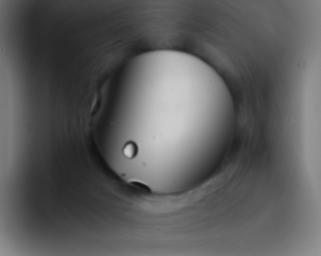 X0000093240025200710101430