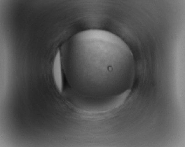 X0000093240029200710101430