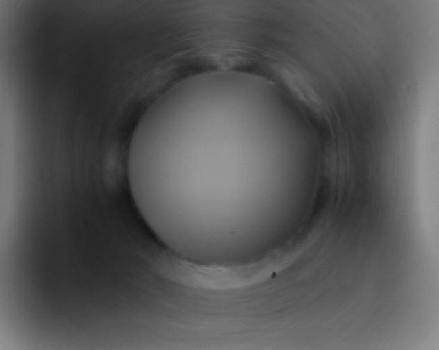 X0000093240030200710101430