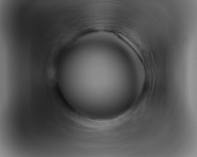 X0000093240031200710101430