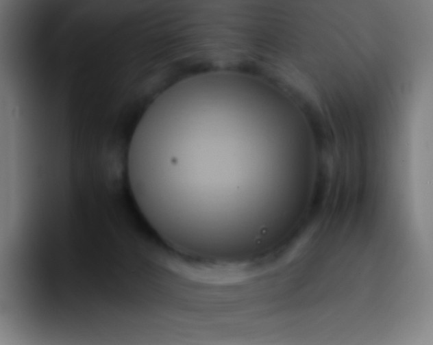 X0000093240032200710101430