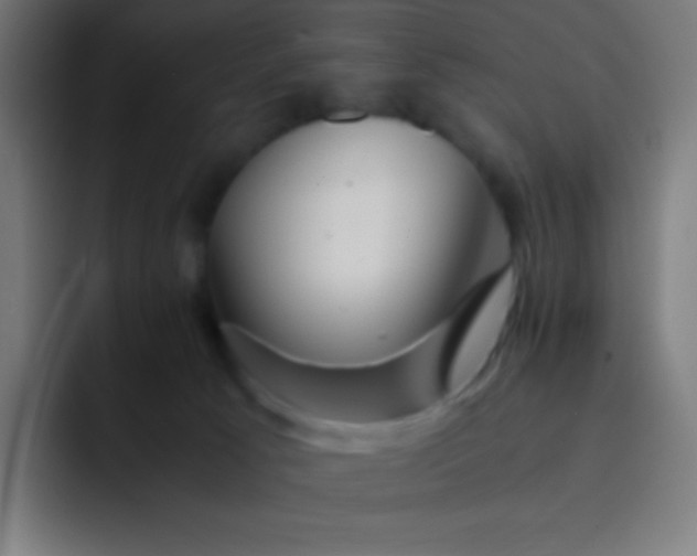 X0000093240033200710101430