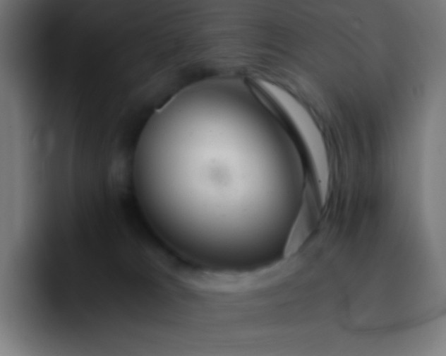 X0000093240037200710101430