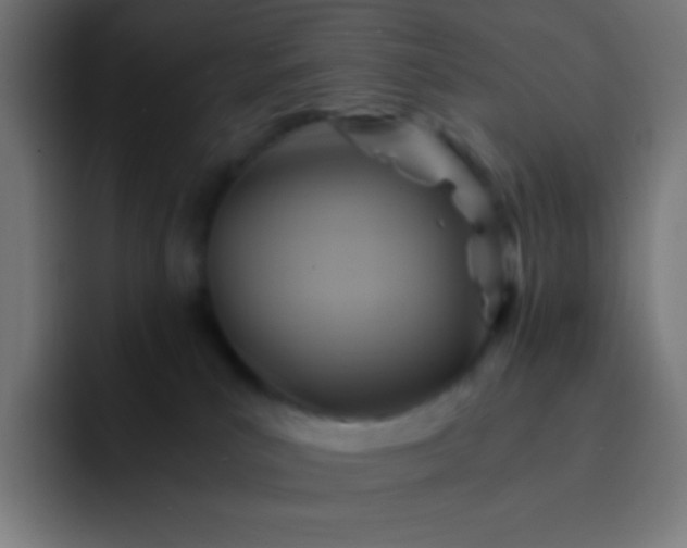 X0000093240039200710101430