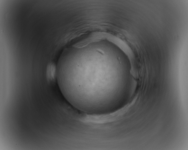 X0000093240041200710101430