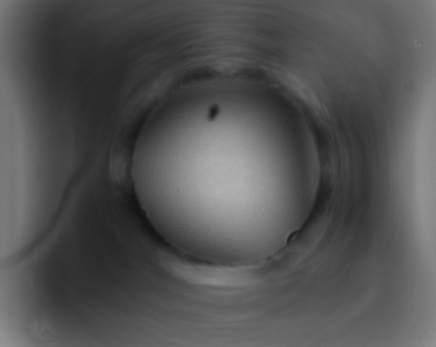 X0000093240044200710101430