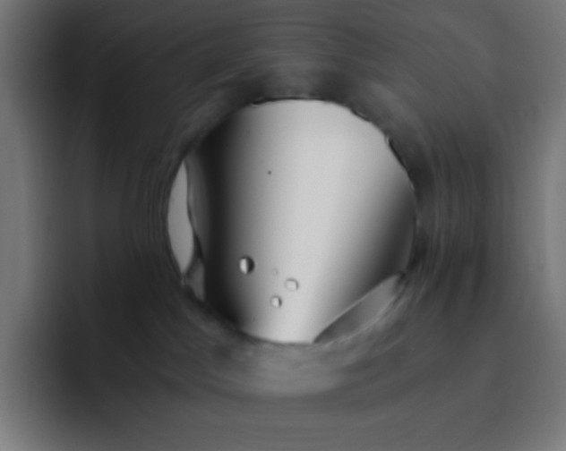 X0000093240045200710101430