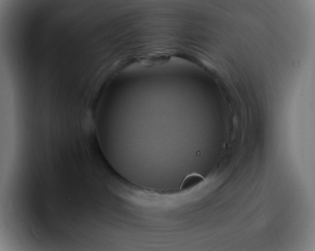 X0000093240048200710101430