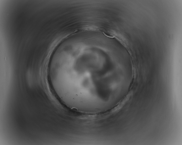 X0000093240049200710101429