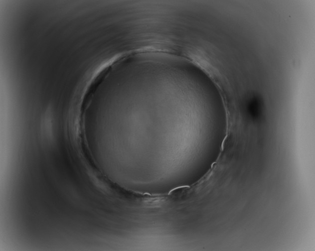 X0000093240050200710101429