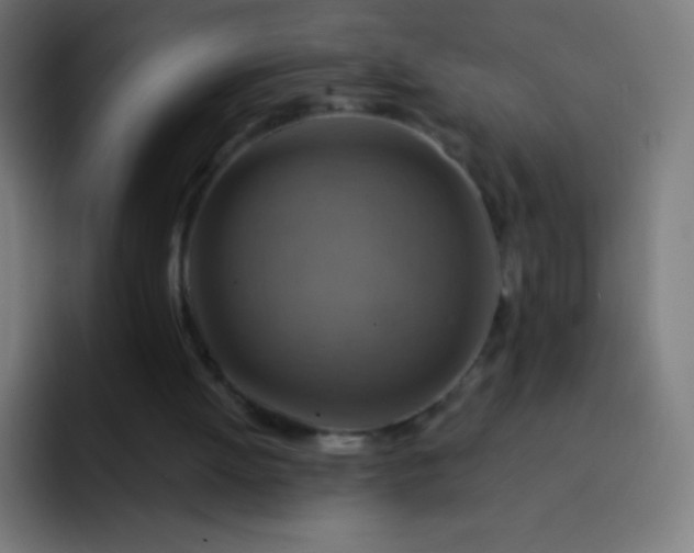 X0000093240052200710101429