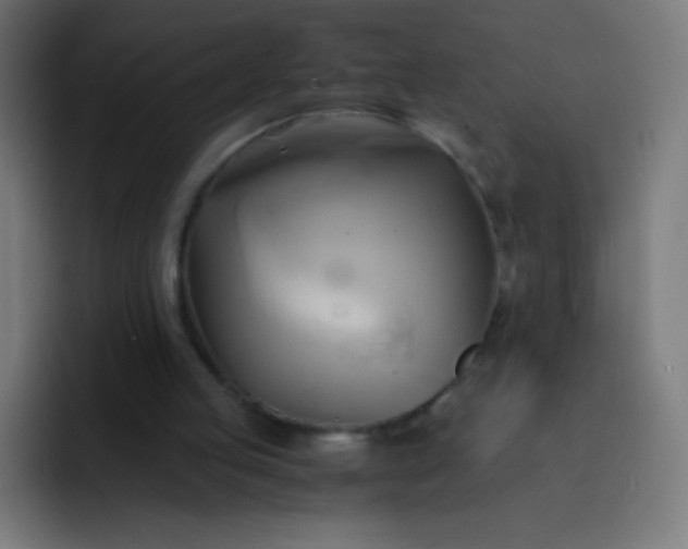 X0000093240053200710101429