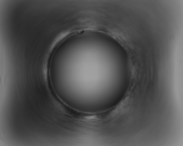 X0000093240054200710101429