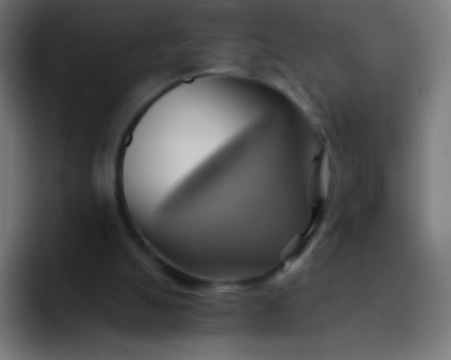 X0000093240055200710101429