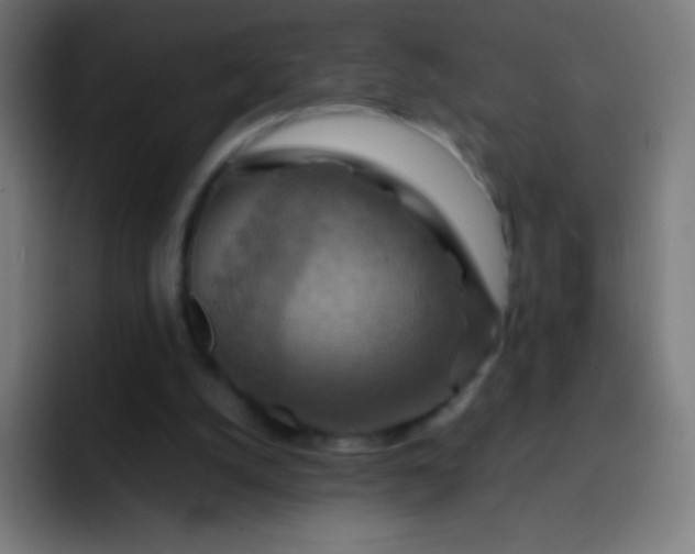 X0000093240056200710101429