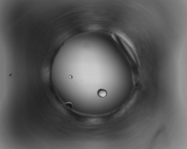 X0000093240057200710101429