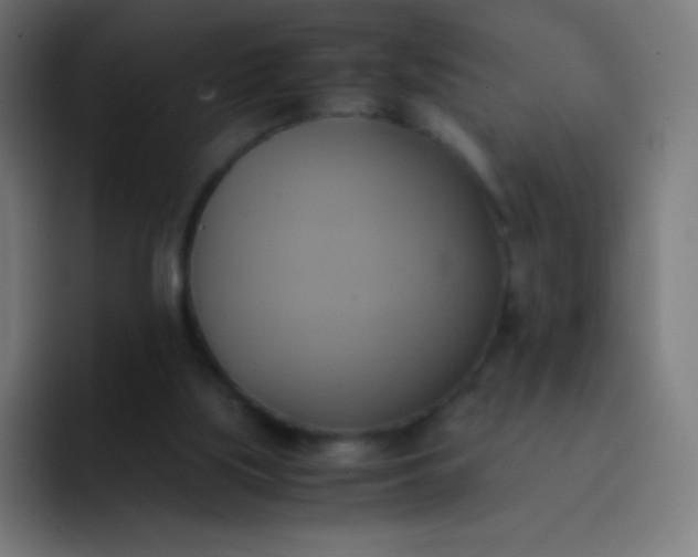 X0000093240059200710101429