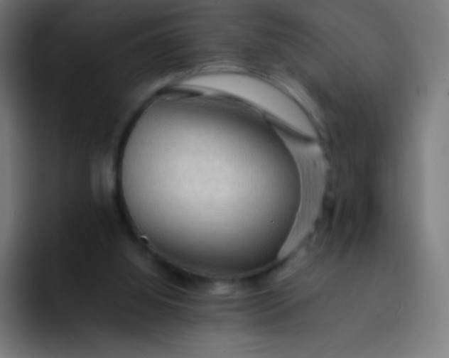 X0000093240060200710101429