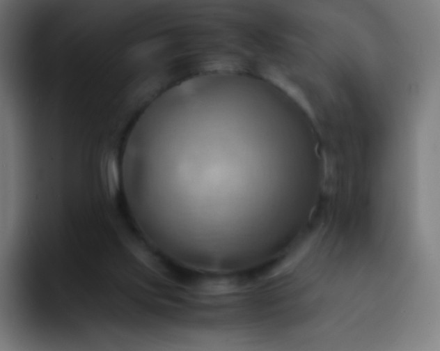 X0000093240061200710101429