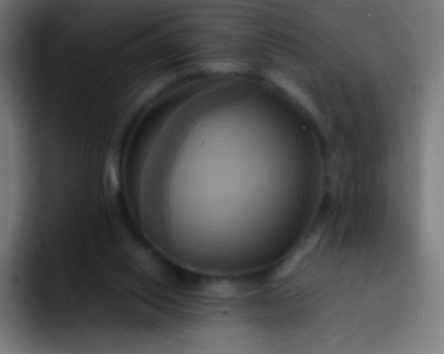 X0000093240062200710101429