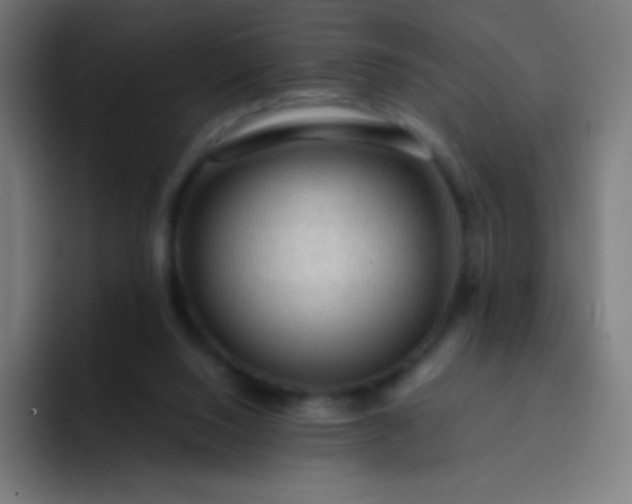 X0000093240064200710101429