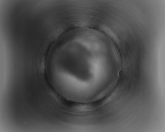 X0000093240065200710101429
