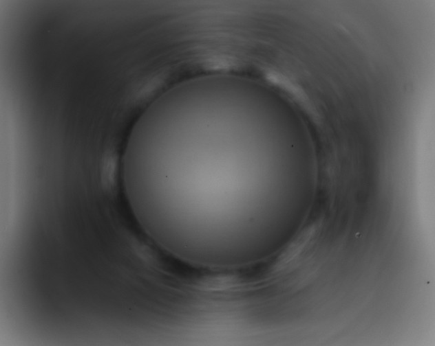 X0000093240066200710101429