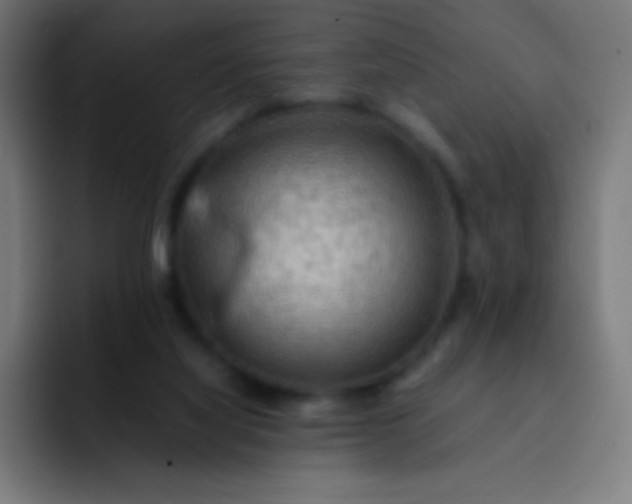 X0000093240068200710101429