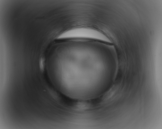 X0000093240070200710101429