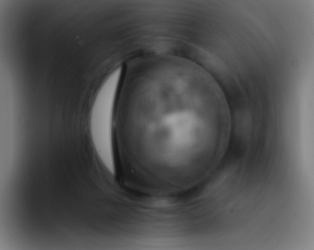 X0000093240073200710101429