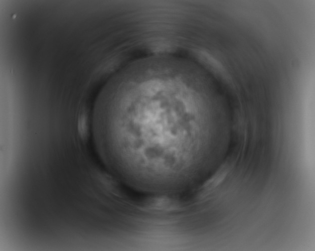 X0000093240074200710101429
