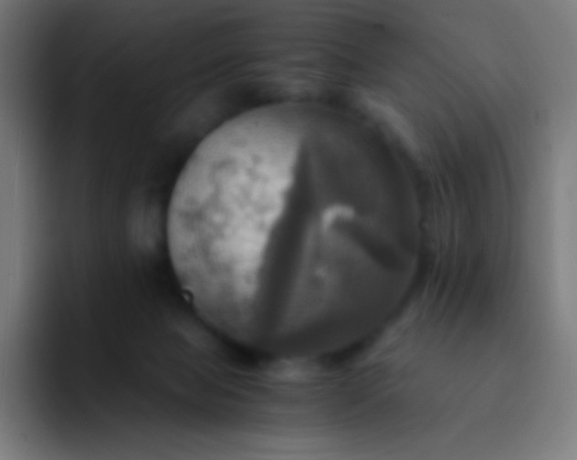 X0000093240077200710101429
