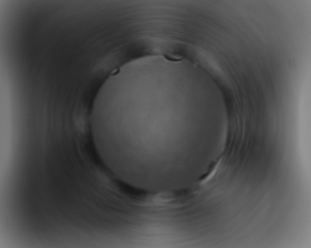 X0000093240078200710101429