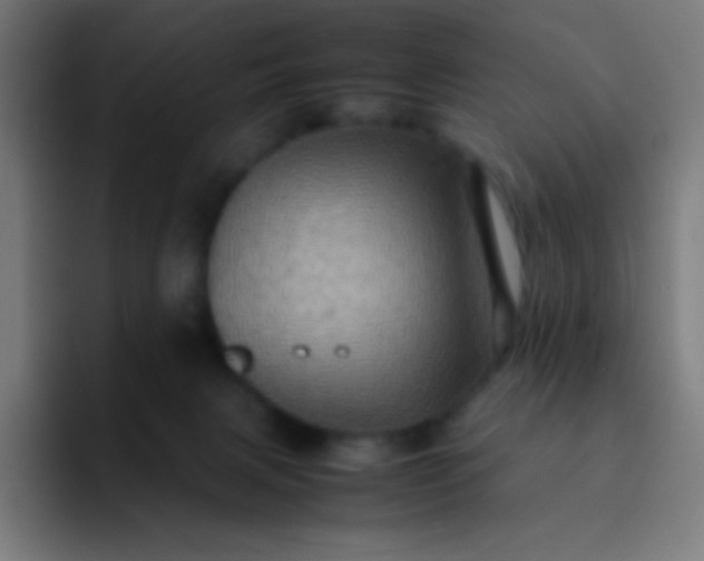 X0000093240079200710101429