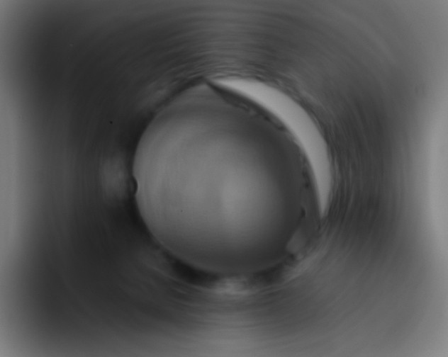 X0000093240080200710101429