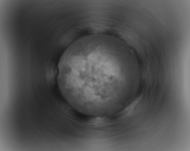 X0000093240082200710101429
