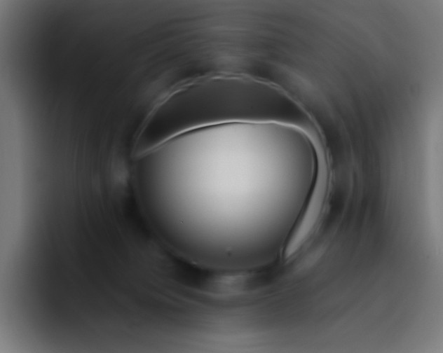 X0000093240084200710101429