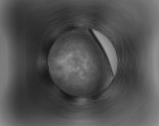X0000093240085200710101429