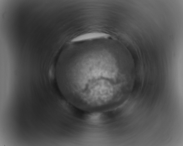 X0000093240090200710101430