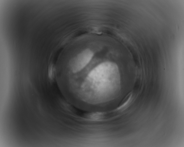 X0000093240094200710101430