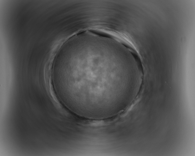 X0000093240097200710101429