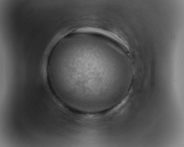 X0000093240101200710101429
