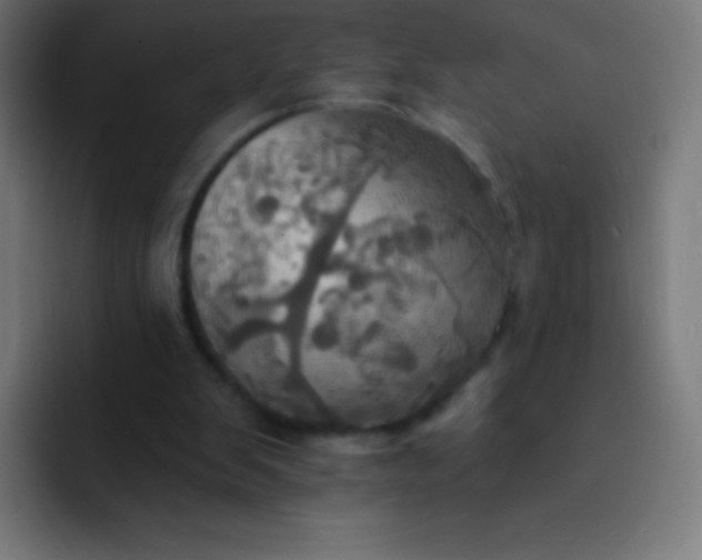 X0000093240103200710101429